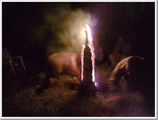 0107_20170806_010537 (Kopie).jpg